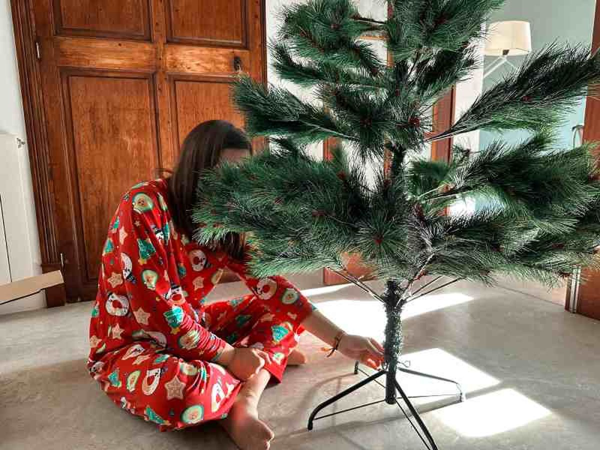 Limpia tu árbol de Navidad antes de decorarlo