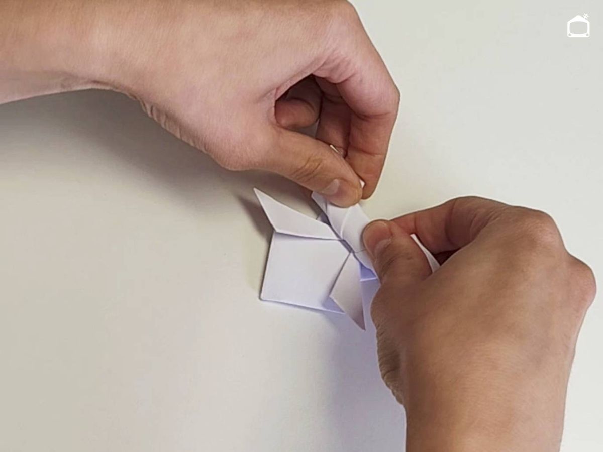 Haz el pliegue para que la rana salte.