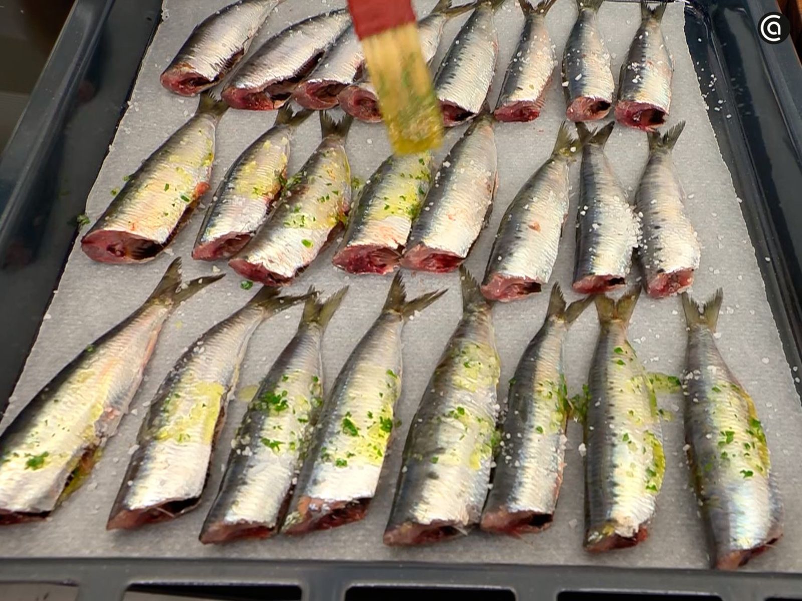 Sazona las sardinas limpias y hornéalas durante unos minutos