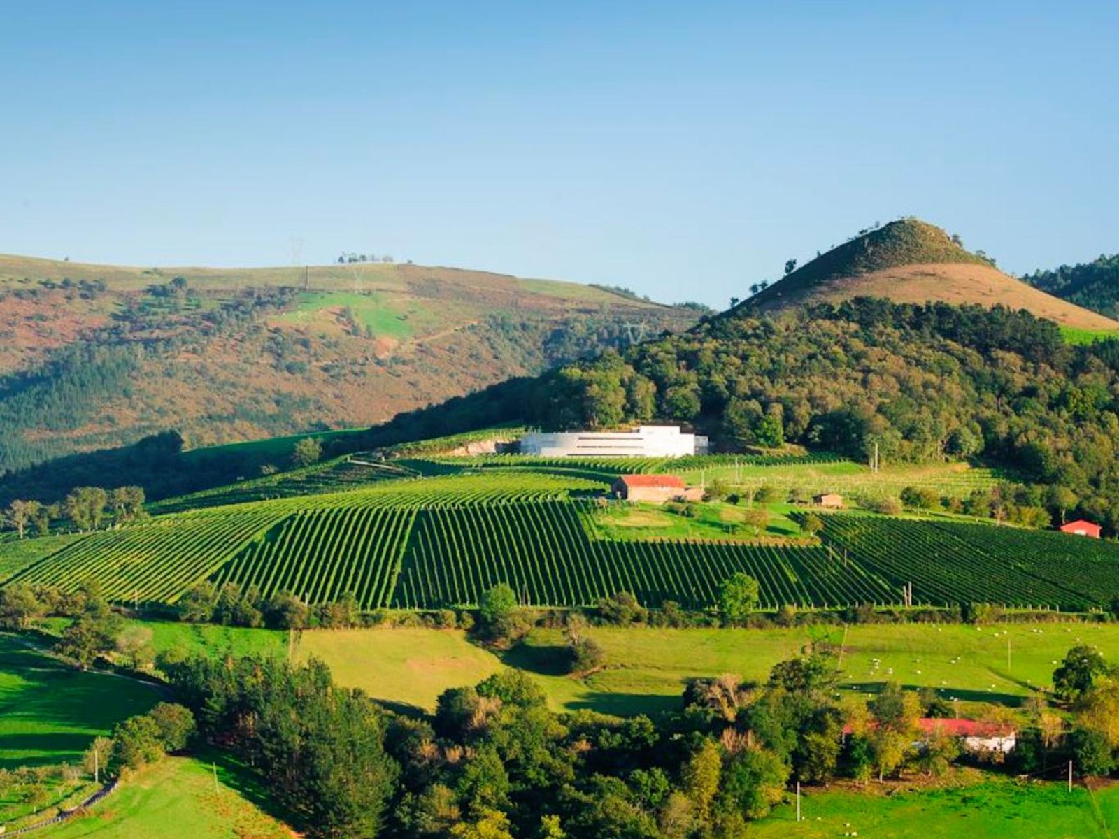 En Aia, la bodega K5 tomó forma a partir del sueño de Karlos Arguiñano y cuatro amigos