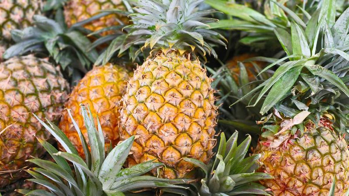 Propiedades curativas de la piña