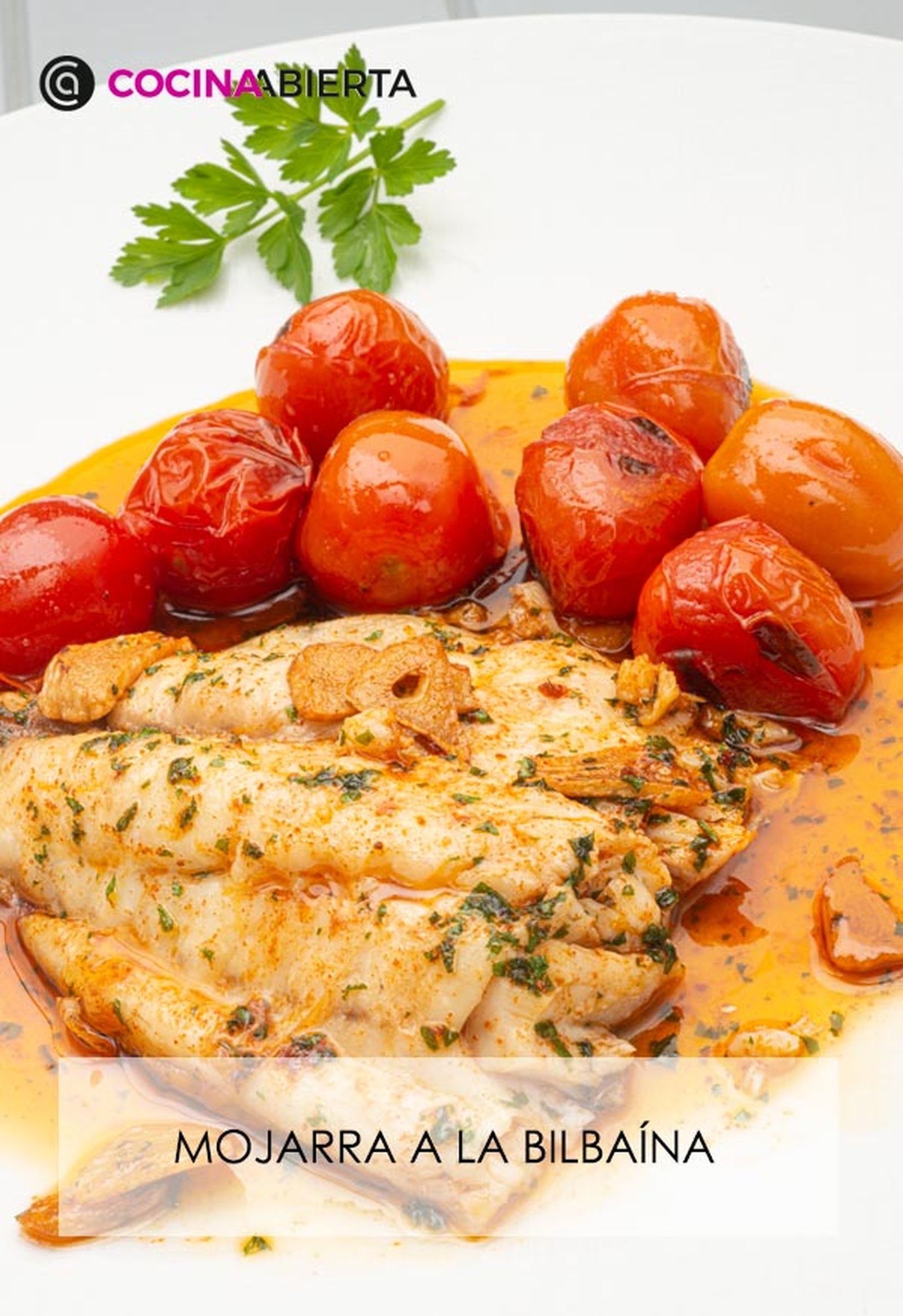 karl6698 mojarra bilbaina v karl6698 mojarra bilbaina v