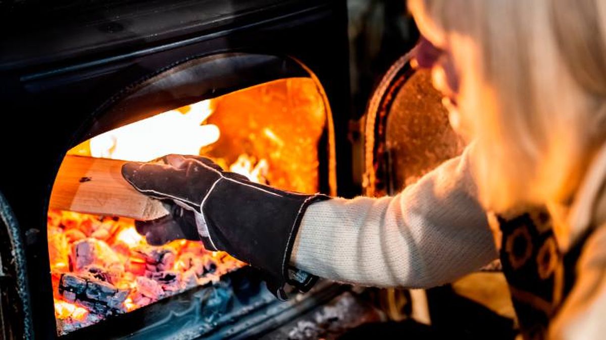 tipos de estufas a  lena 3