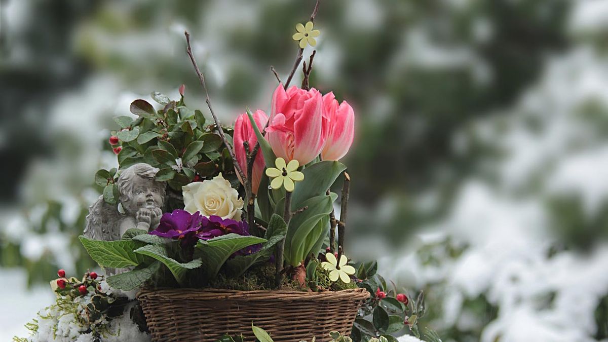 sacar maximo partido jardin invierno 2