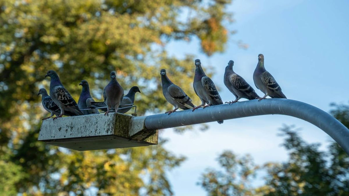 Psicología del azar: ¿por qué necesitamos creer?