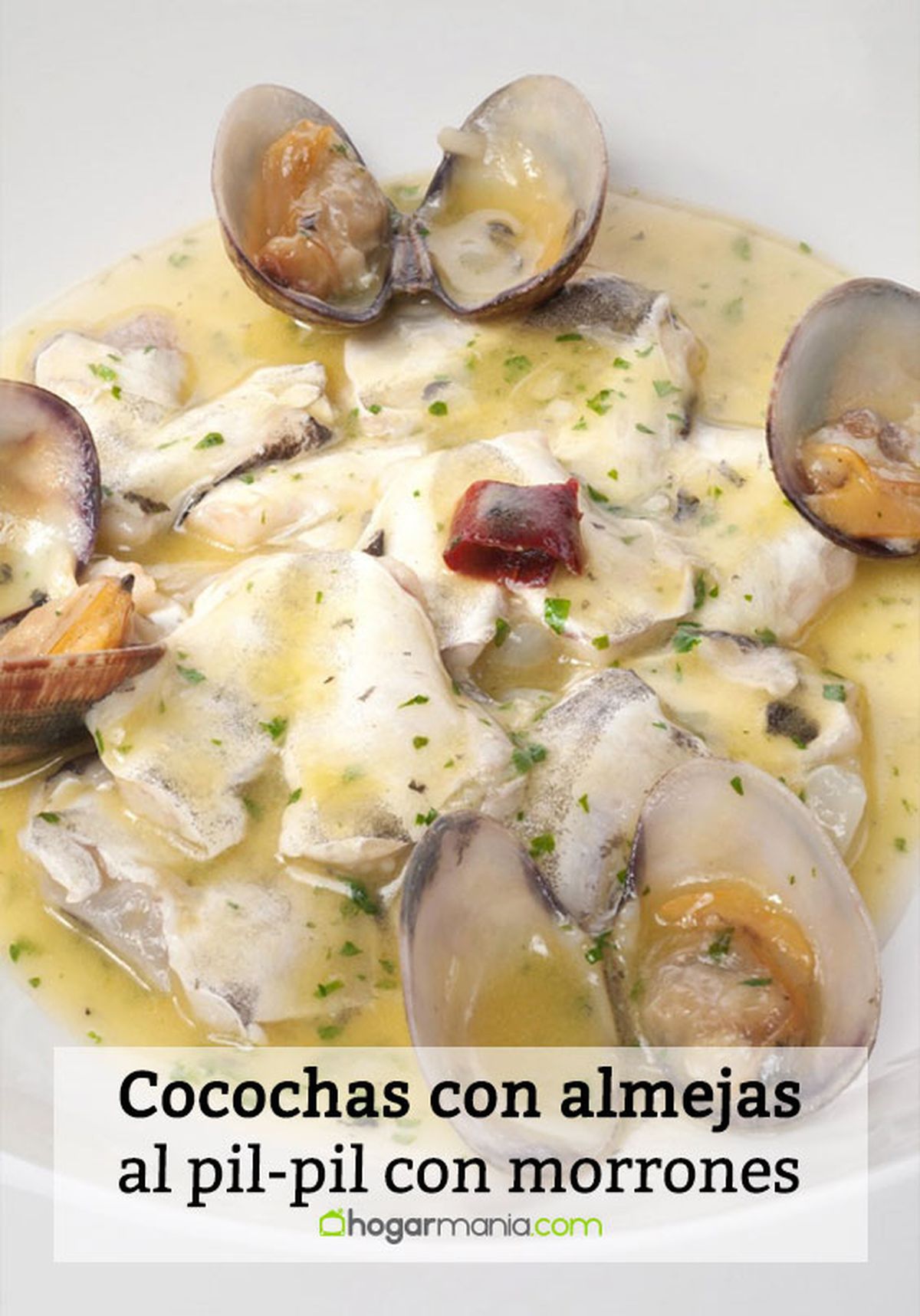 kokotxas almejas pin