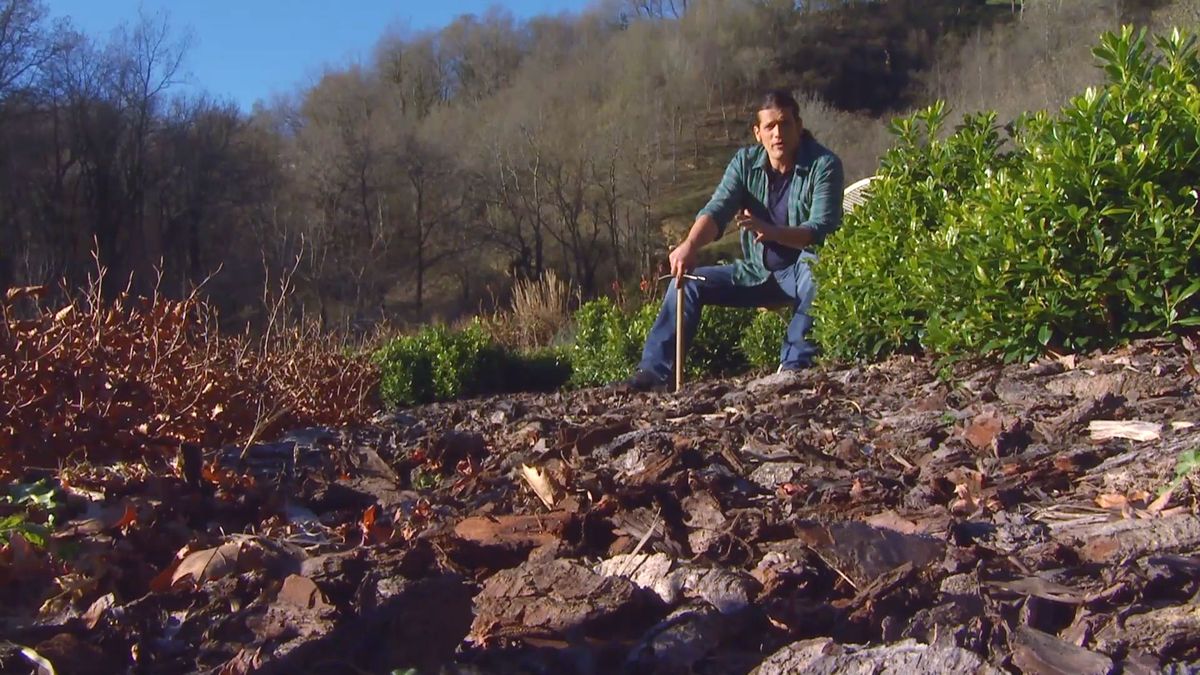 deco 0641 acolchado tipos variedades xl