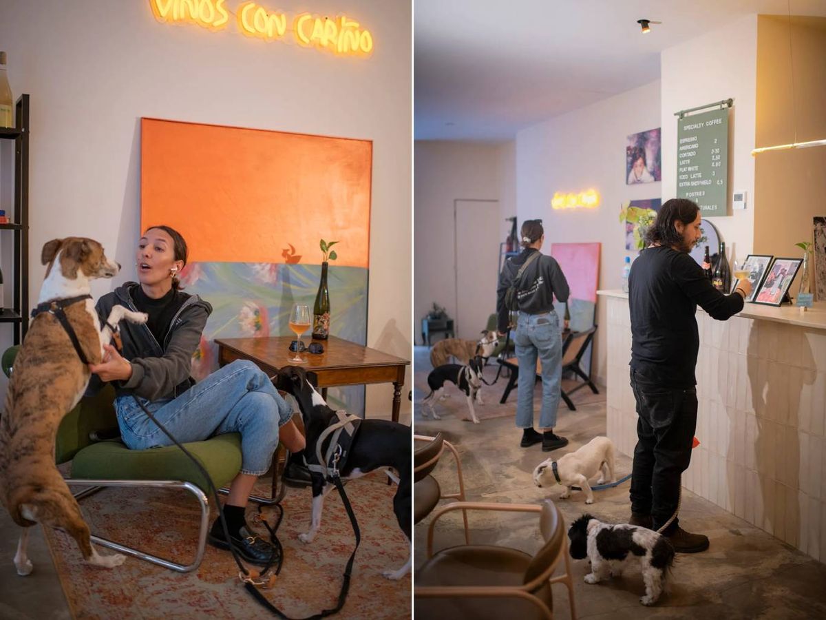 Soletes 2025: Defecto Bar (Valencia)