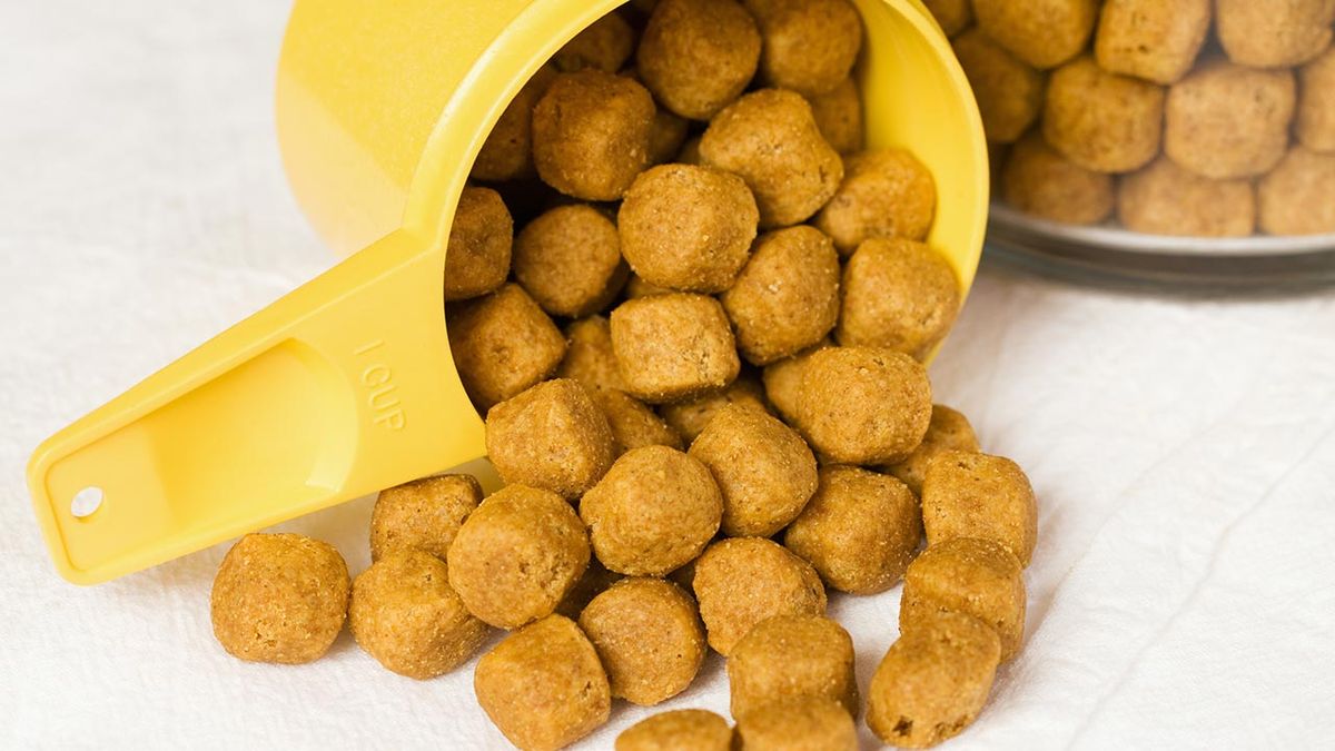 cantidad comida perros 4