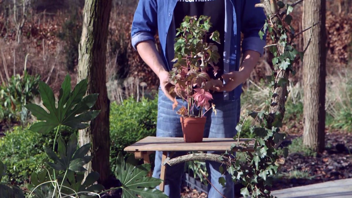 brico 940 3 fatsedera caracteristicas