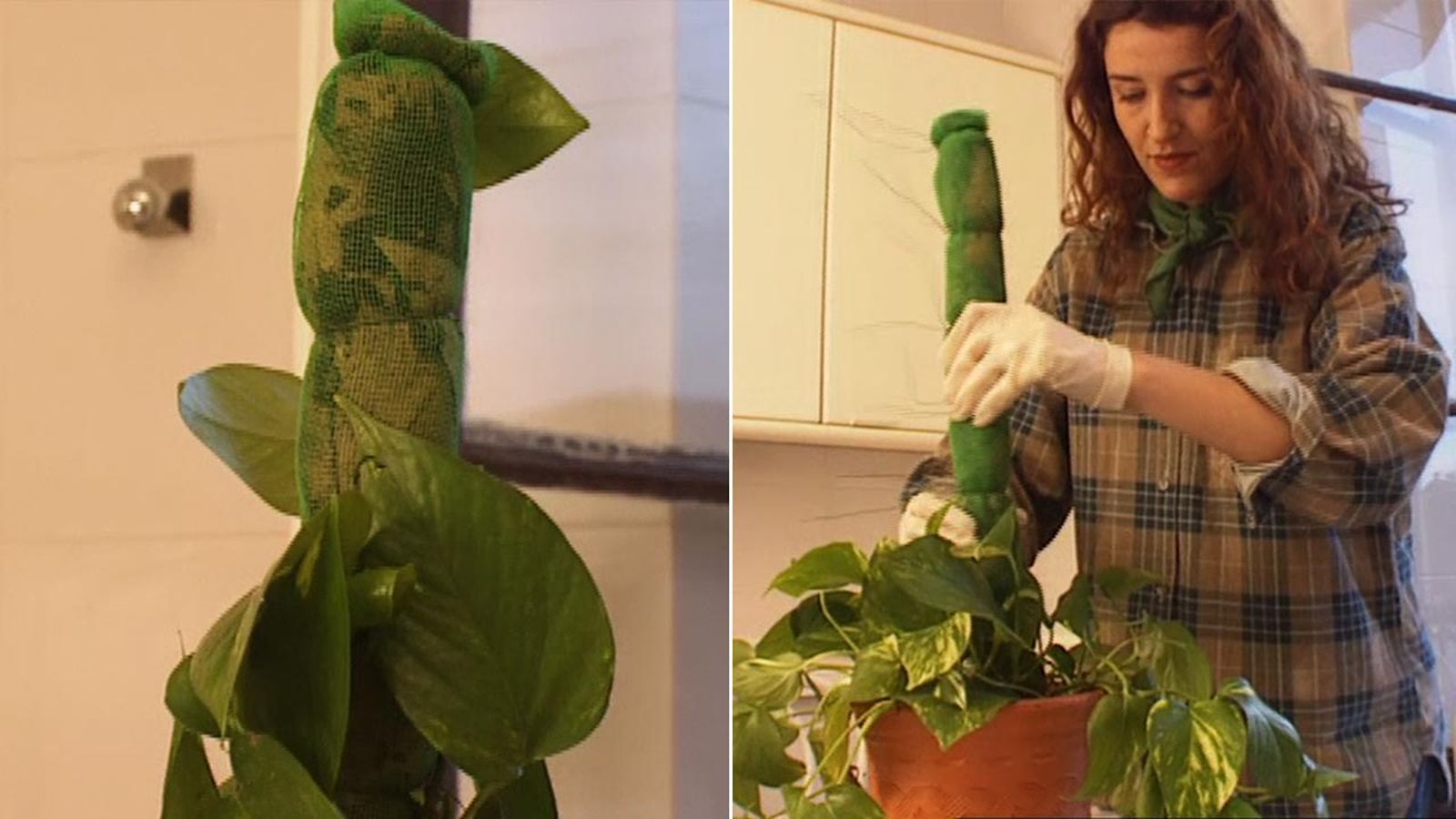 brico 031 como construir tutor guia para las plantas