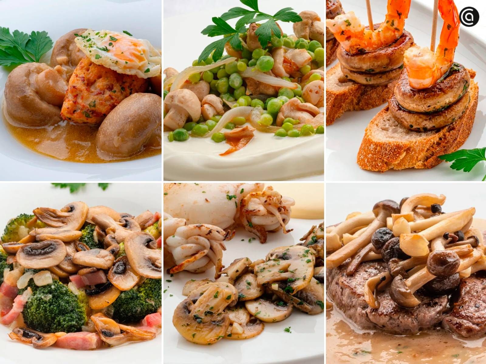 Recetas con setas y hongos