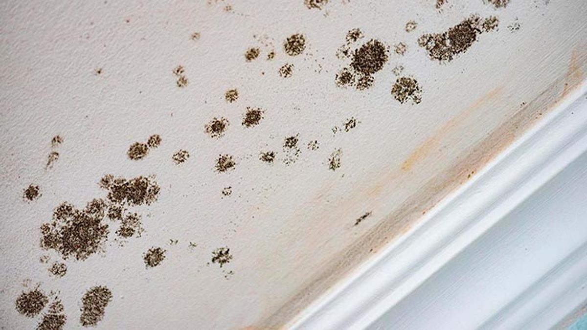 por que sale humedad por condensacion 1