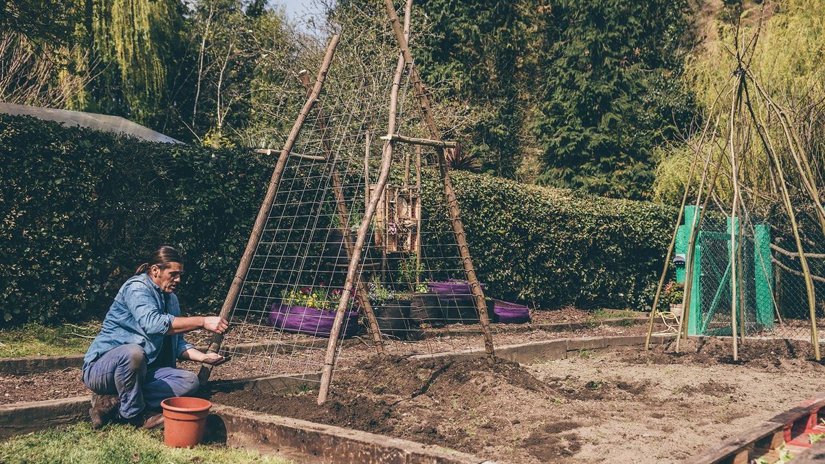 993 jardineria estructura pepinos xl