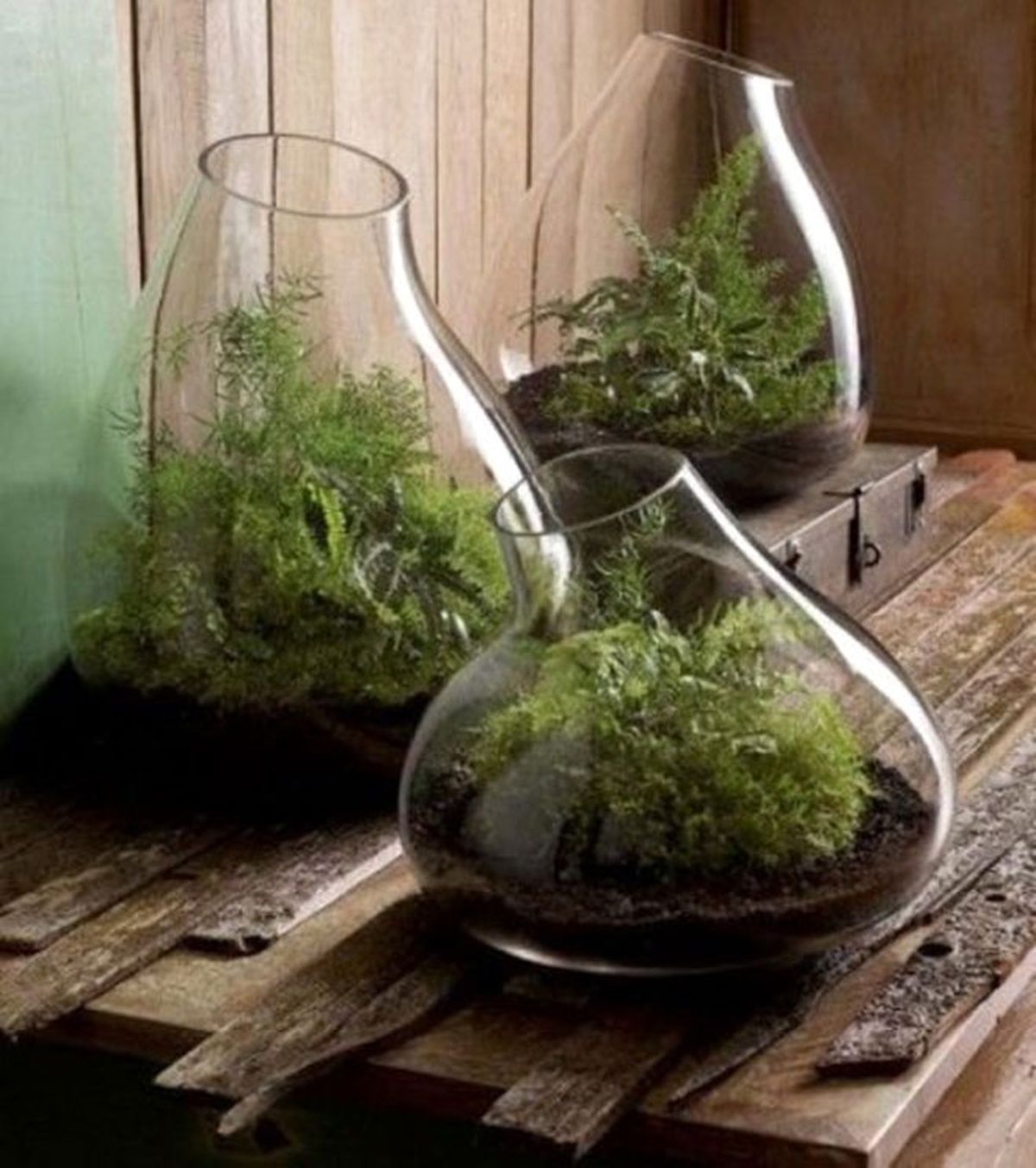 decoracion vegetal jardin interior 12