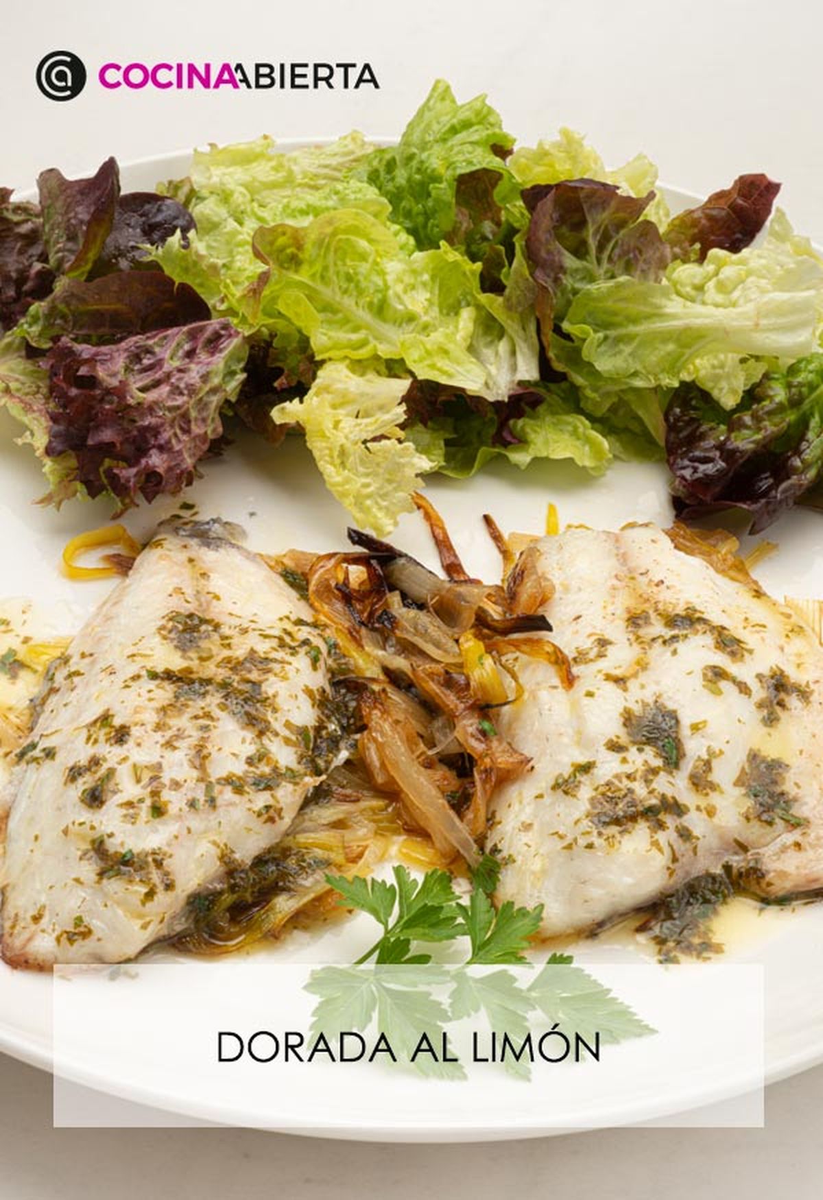 karl6679 dorada limon v