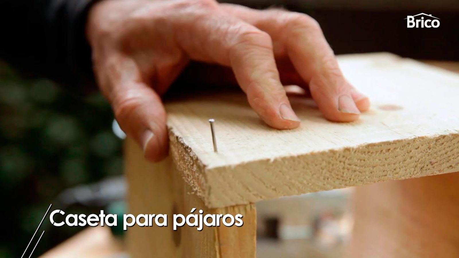 Cómo hacer una casita para pájaros paso 6 Cómo hacer una casita para pájaros paso 6