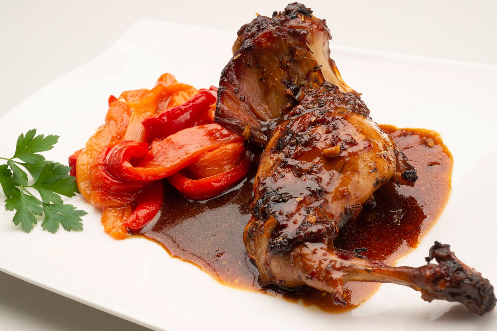 conejo plato xl
