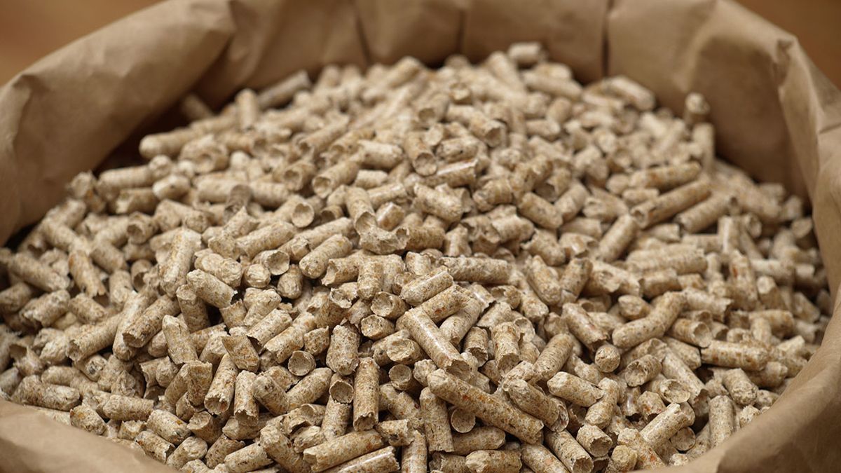 Que son los pellets