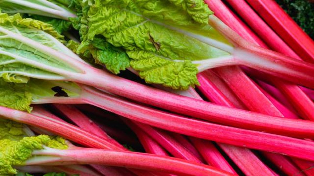 ruibarbo para aclarar el cabello