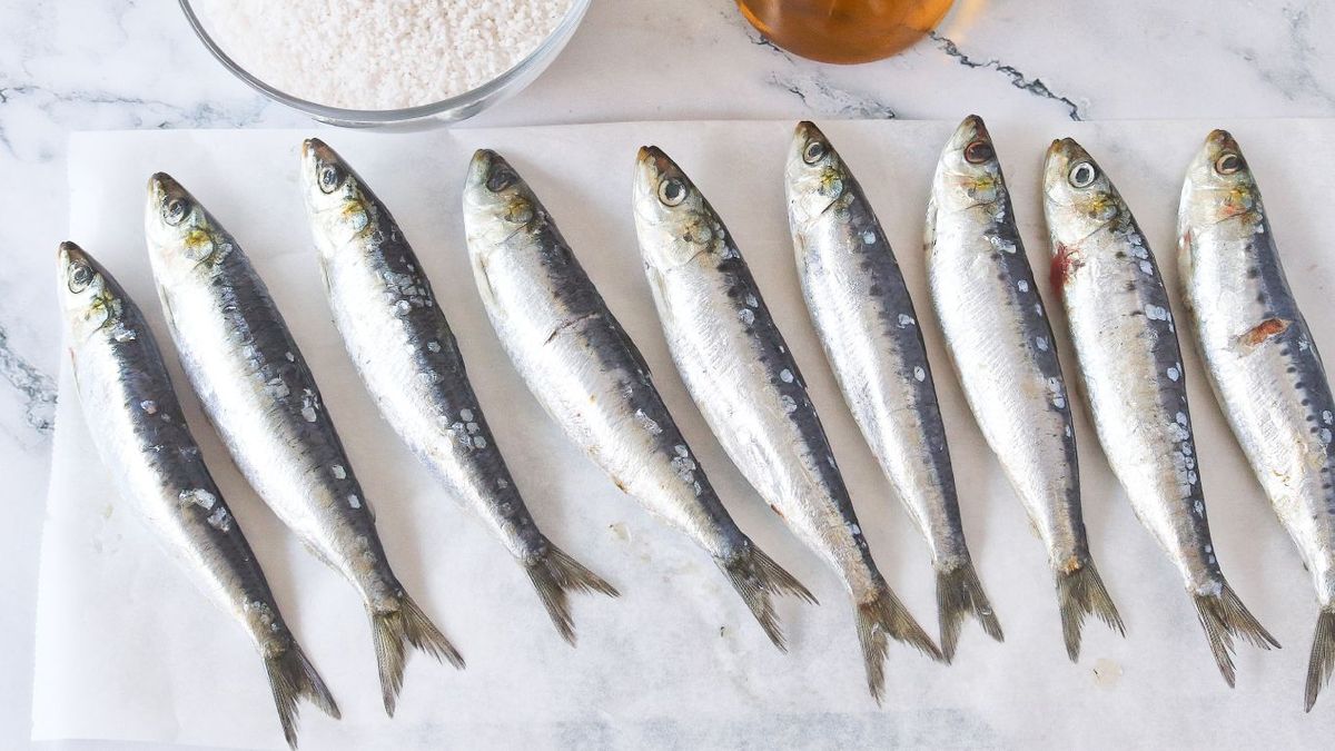 Sardinas frescas