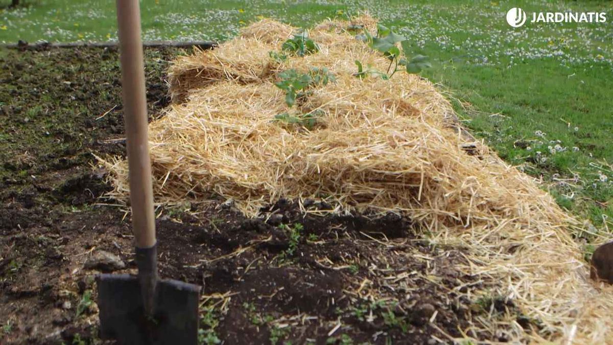 La permacultura es una técnica de cultivo que minimiza la intervención del agricultor