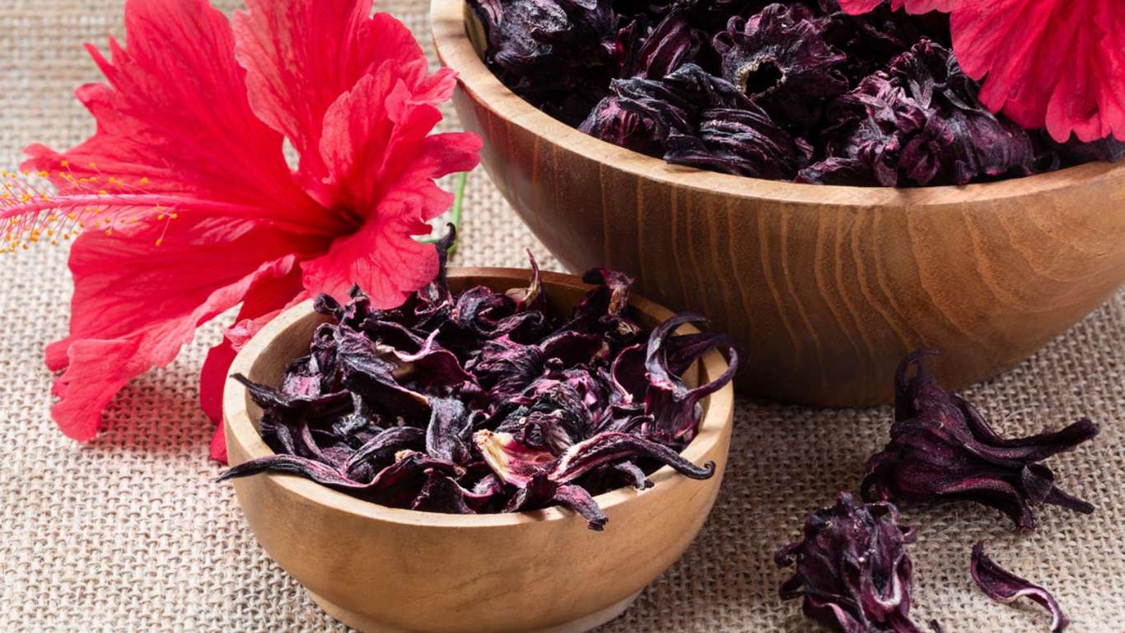 Flores de Jamaica.