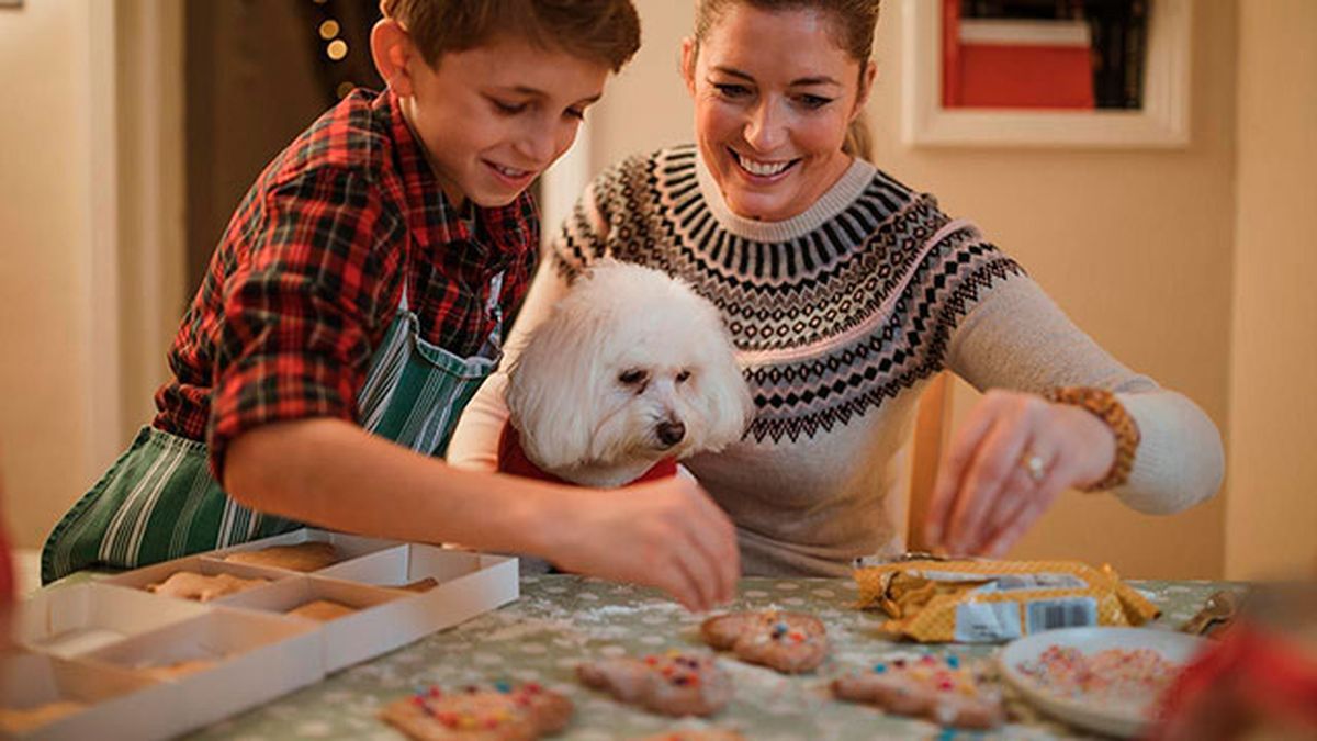 dulces navidad perros 1