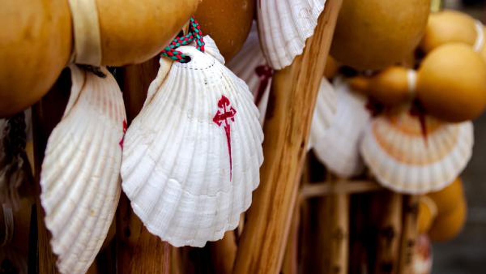 Vieiras plancha