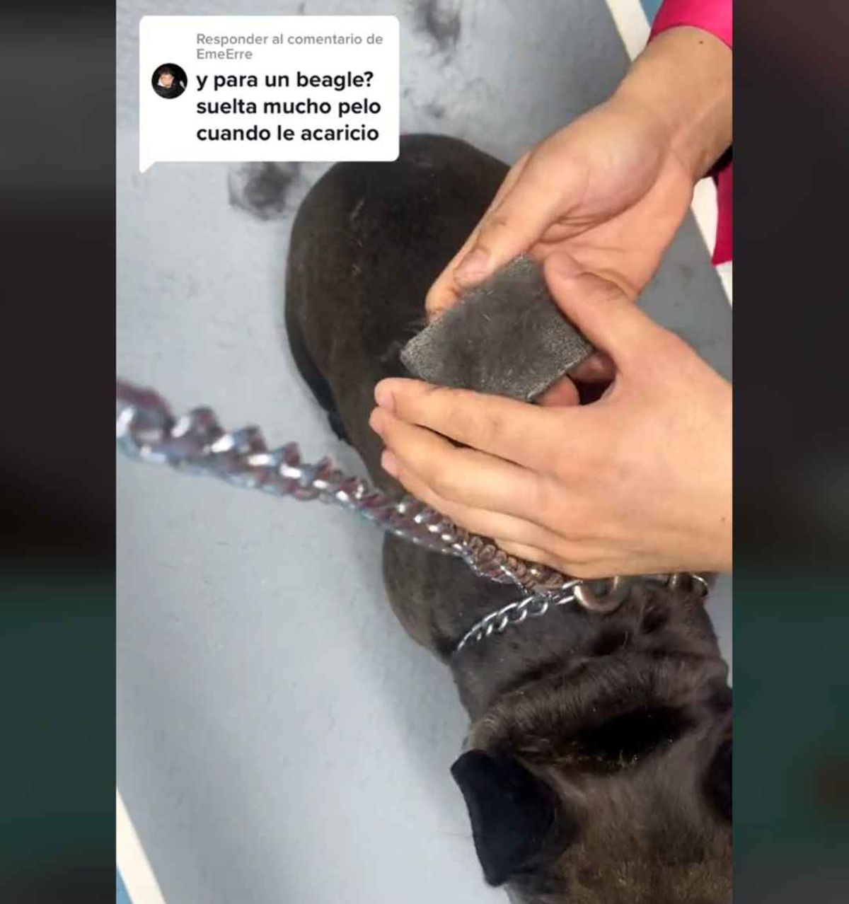 piedra pomez para quitar pelo muerto mascotas