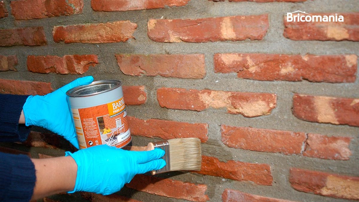 Proteger ladrillos de hongos y moho