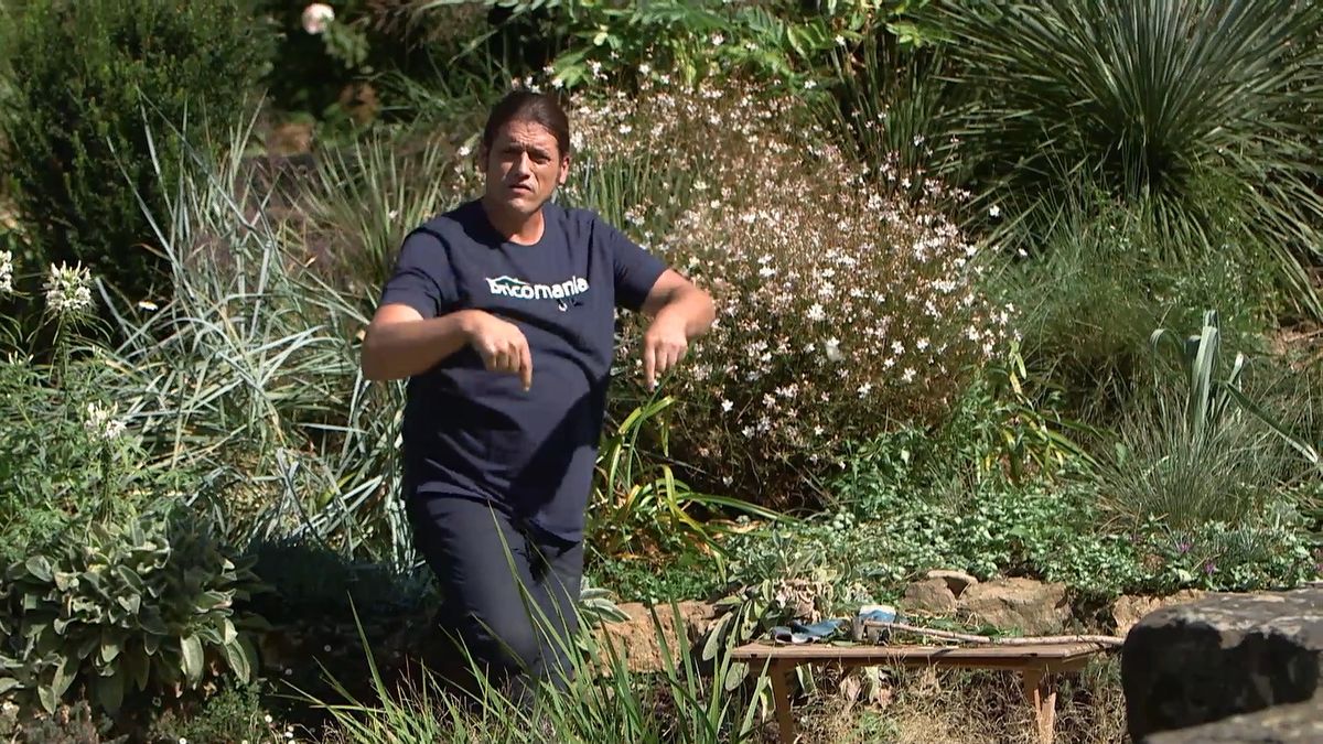 brico 965 briconsejo 3 como eliminar correhuela cuando aplicar herbicida