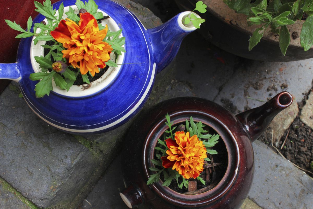 teteras convertidas en mace