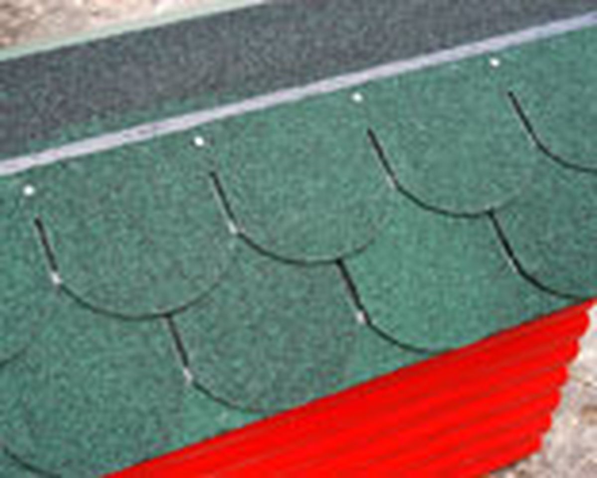 335 imper caset perro p08