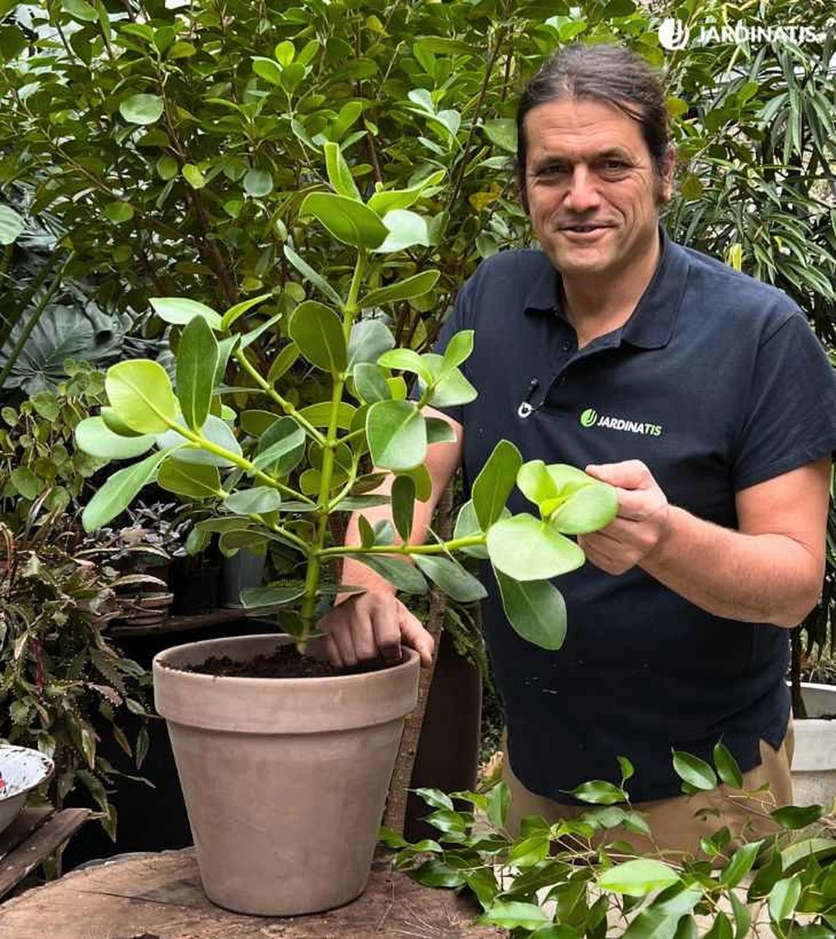 Iñigo Segurola con la Clusia rosea en maceta