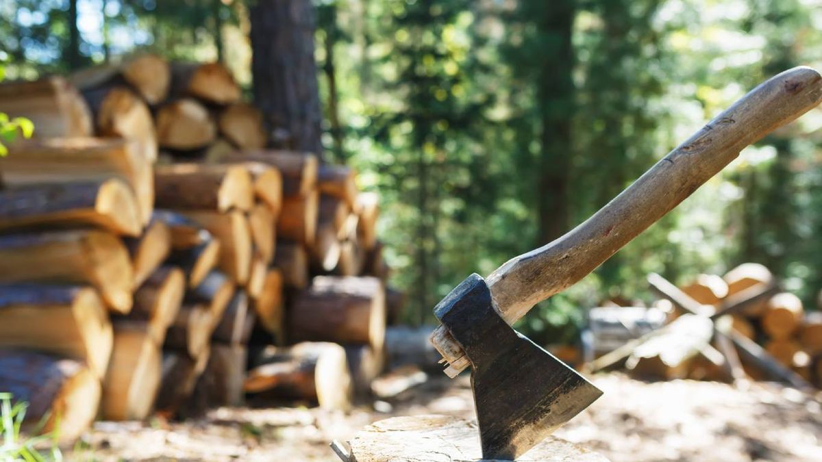 Fuente de leña en invierno