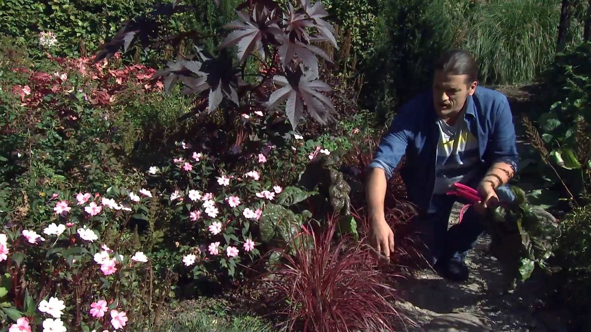 deko0706 jardin otono tonos rosas detalle borde jardin