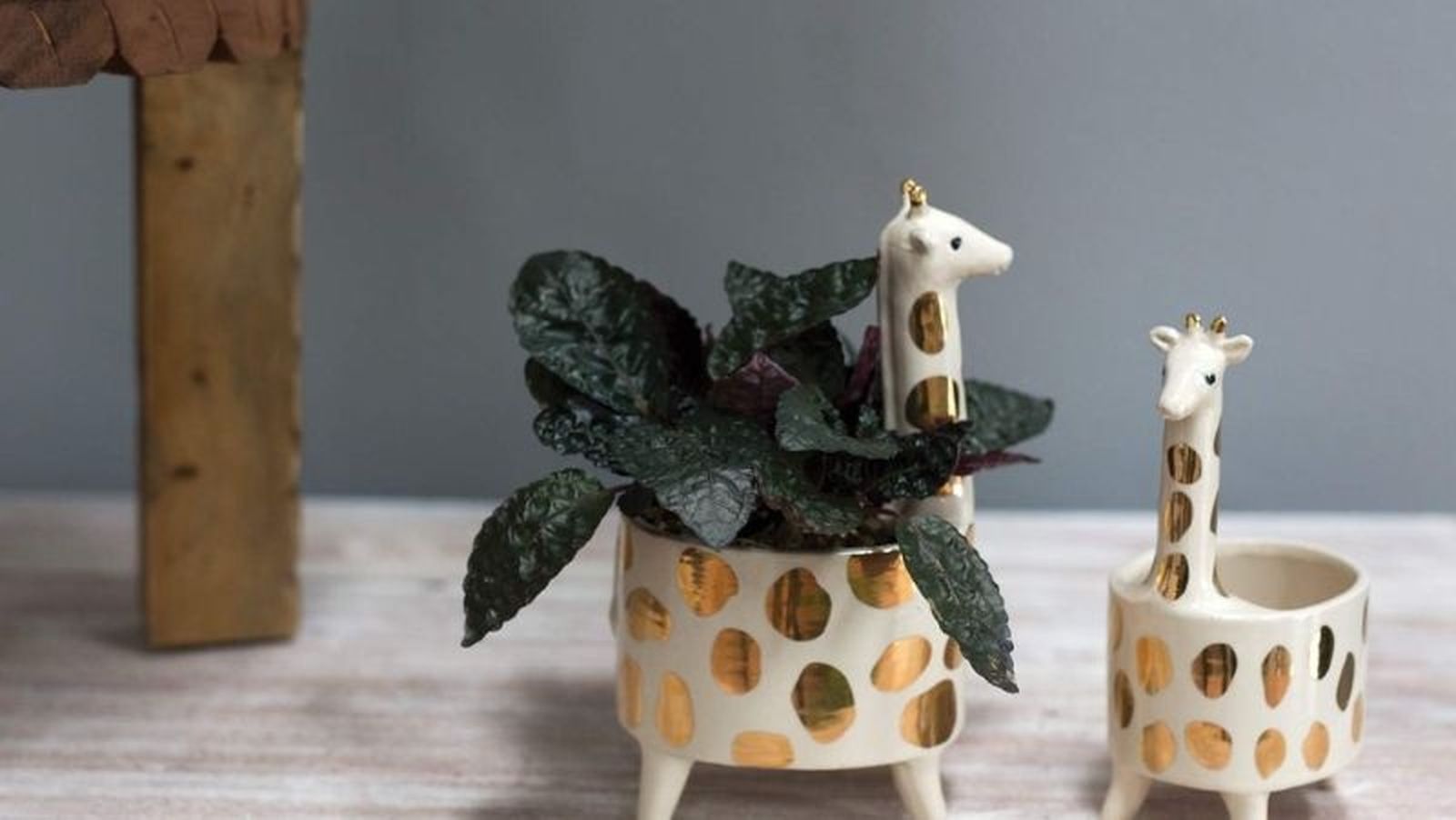 Macetas de jirafas.