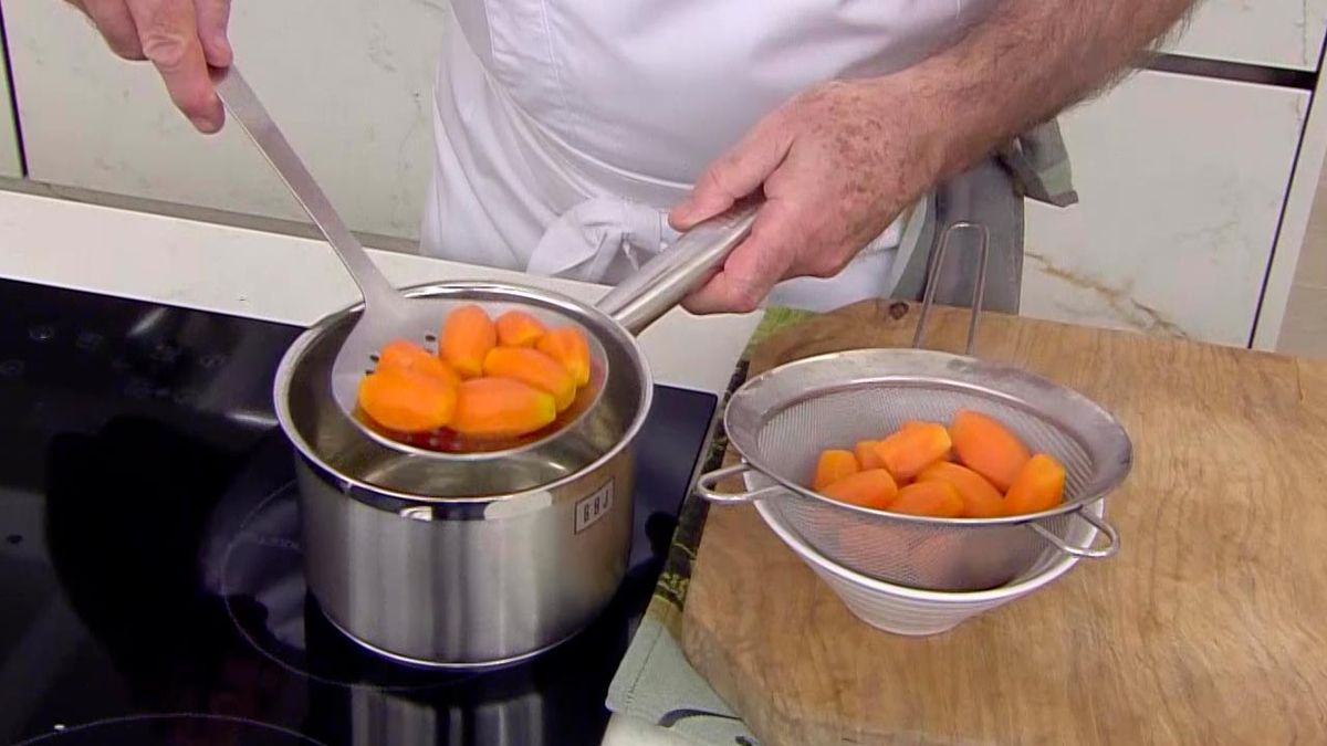 karl6635 pescadilla rabiosa p2