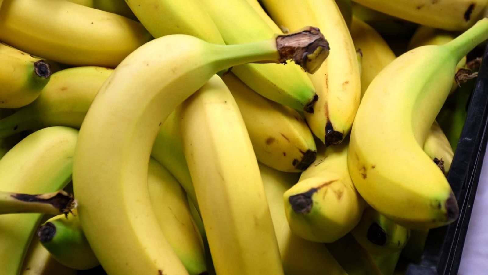 platanos