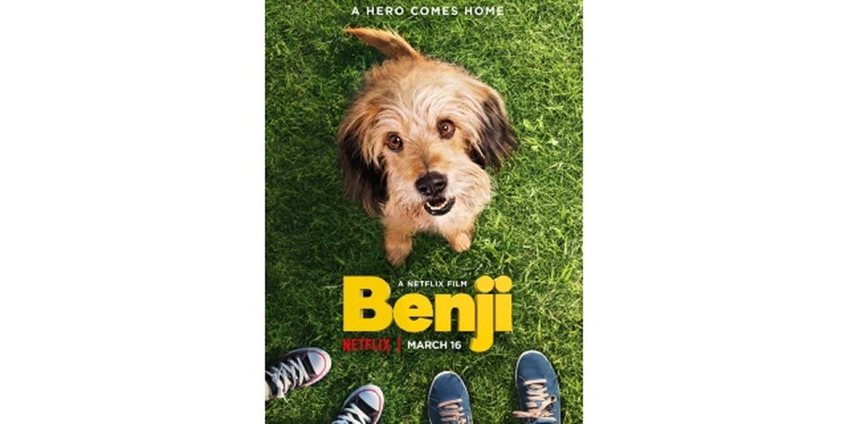 peliculas de perros benji