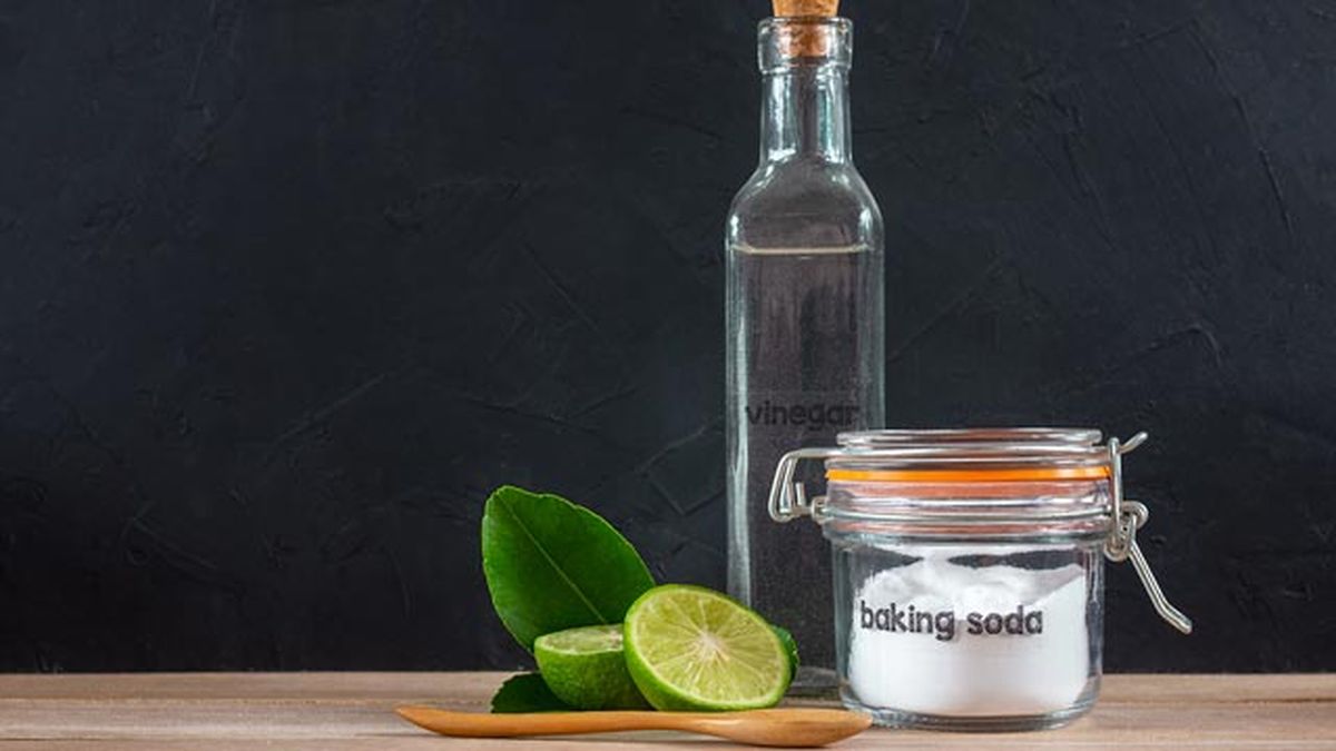 formas prevenir cucarachas5