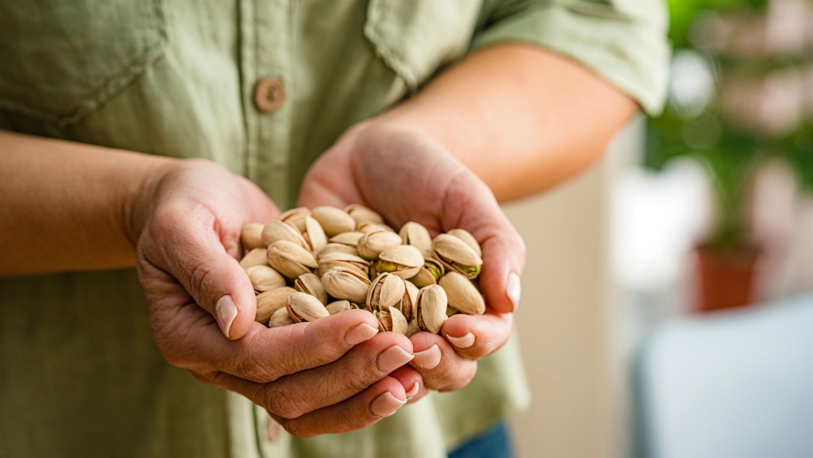 Cada puñado de pistachos encierra paciencia, sabor y futuro: el verdadero oro verde de la despensa.