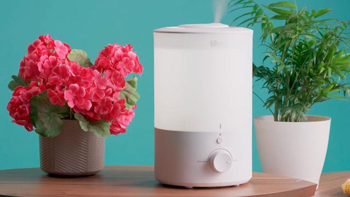 humidificador amazon mas vendido LEVOIT 3L Top Fill dual 150