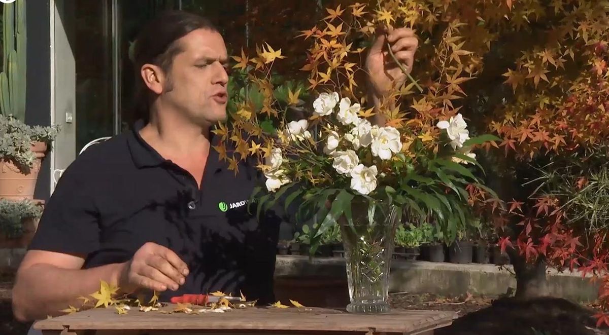 jardineria 759 rosa opalia arreglo floral paso 2