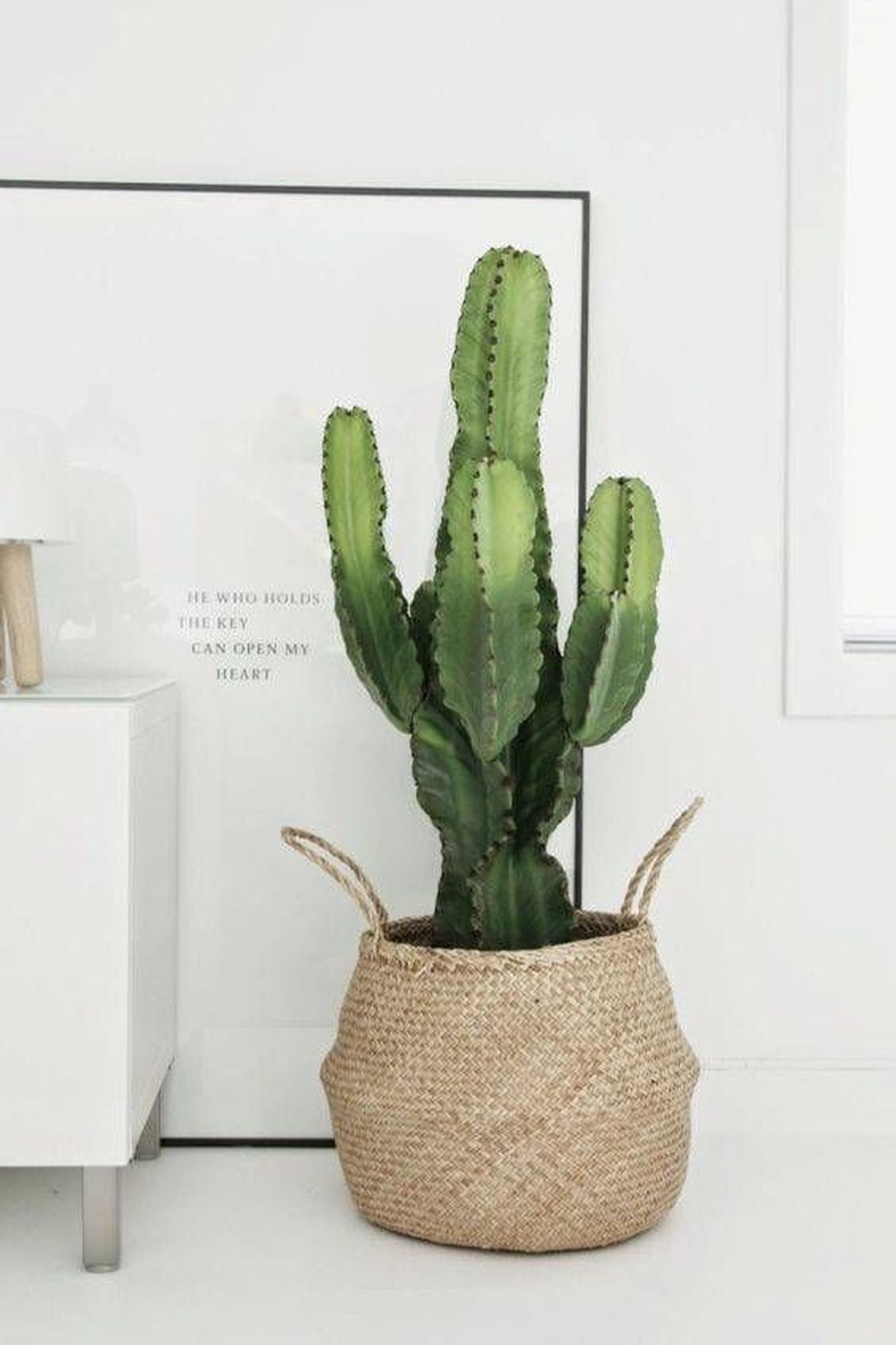 dormitorio pequeno encanto plantas pinterest 2 dormitorio pequeno encanto plantas pinterest 2