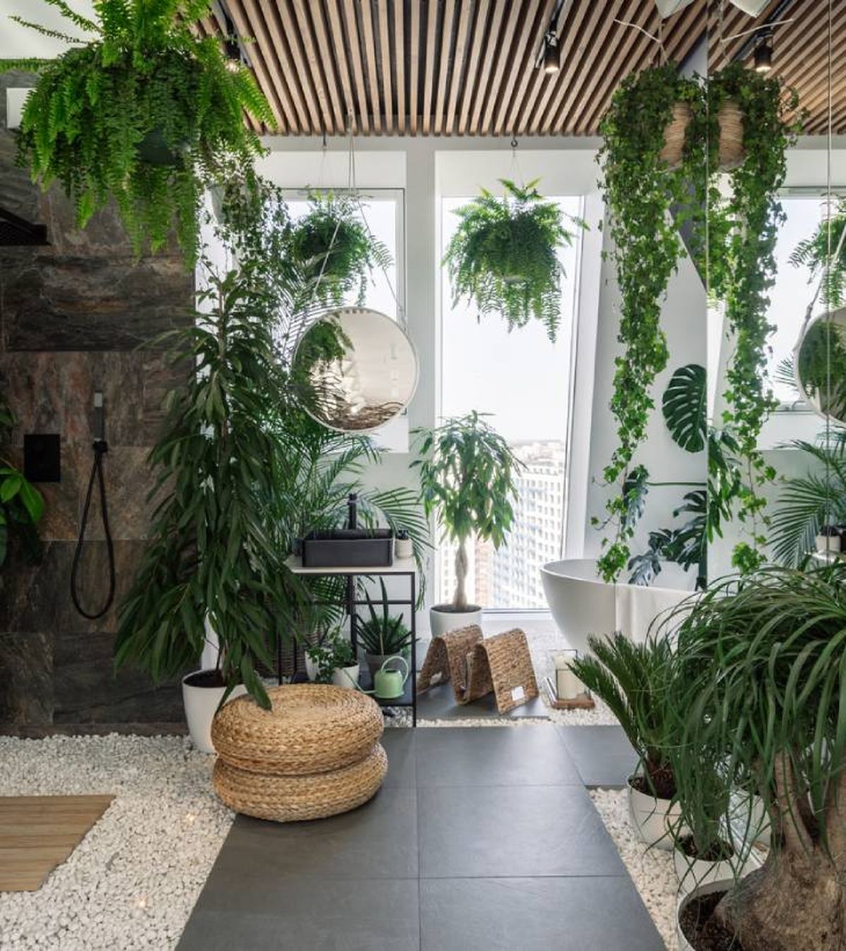 urban jungle con plantas de interior