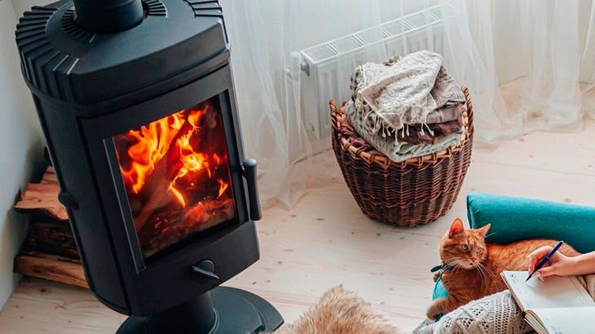 tipos de estufas a  lena 2