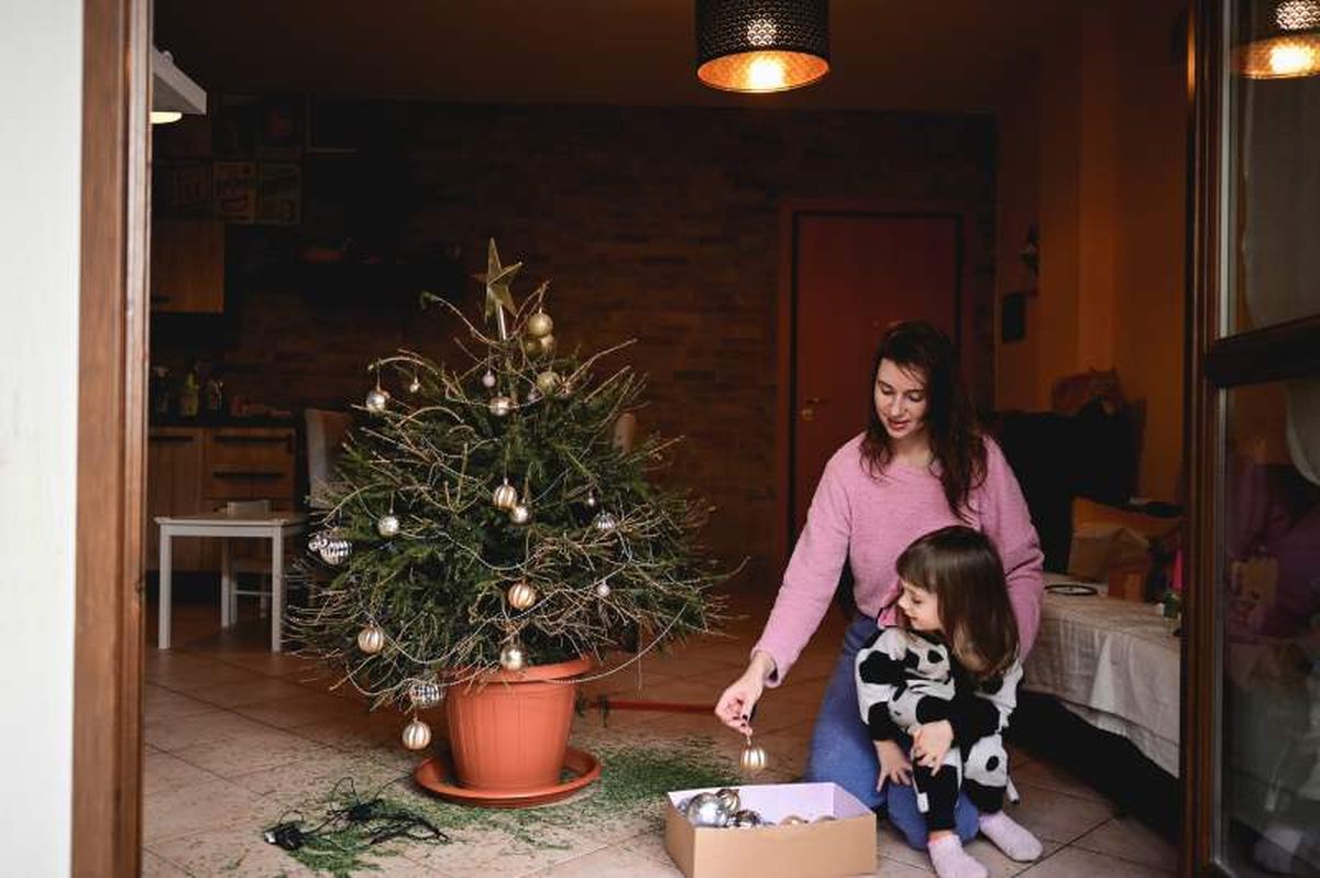 Los abetos naturales duran un mes y medio, luego debes reciclarlo