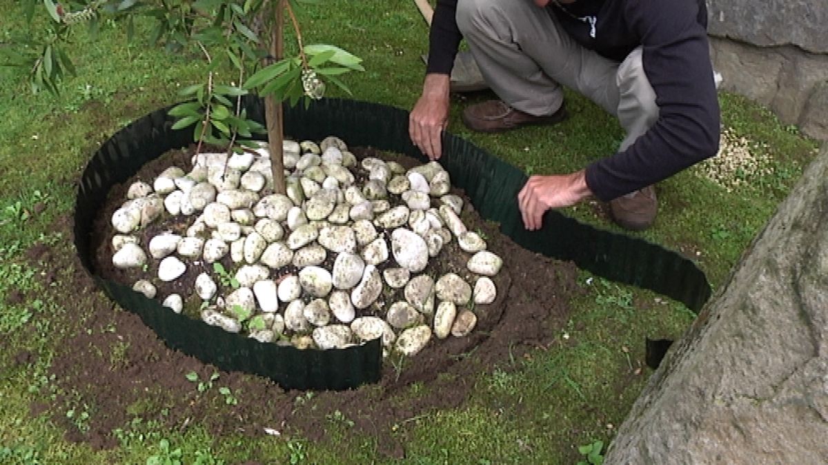 Borduras para césped paso 3